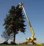 Biljax 3632t telecoping boom lift is great for tree work