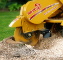 rayco RG 1625 Super Jr stump grinder