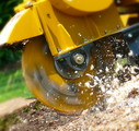 rayco RG 1635 Super Jr stump grinder