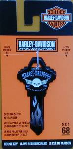 Harley Davidson Skull SC1