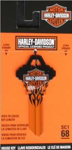 Harley Davidson Logo w/ Flames SC1