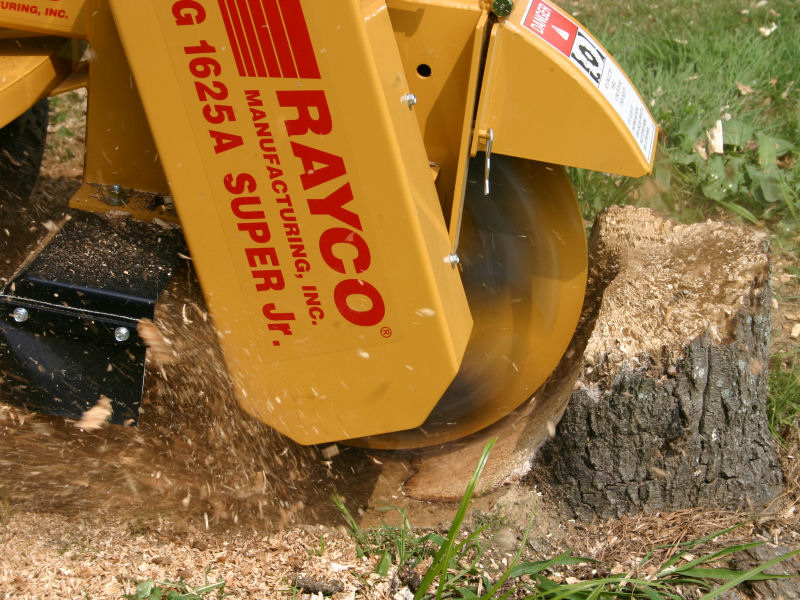Robinsons Rents Stump Grinders