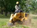 Robinsons Rents Stump Grinders